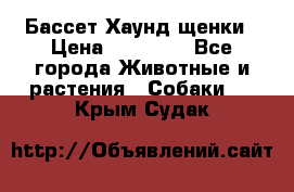 Бассет Хаунд щенки › Цена ­ 20 000 - Все города Животные и растения » Собаки   . Крым,Судак